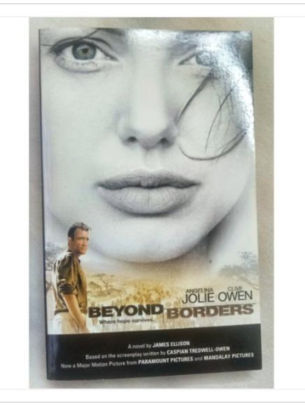 Beyond Borders Where Hope Survives A Novel Pocket Star Books 1st 2003 PB
